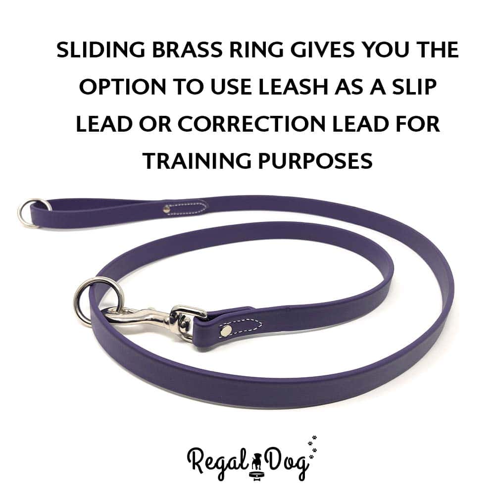 Conjunto de Collar y Correa Impermeable Morado para Perro - Imagen 8