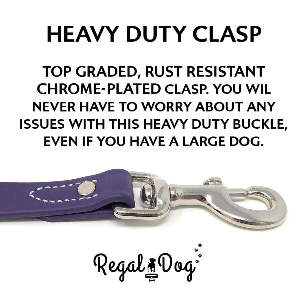 Conjunto de Collar y Correa Impermeable Morado para Perro - Imagen 9