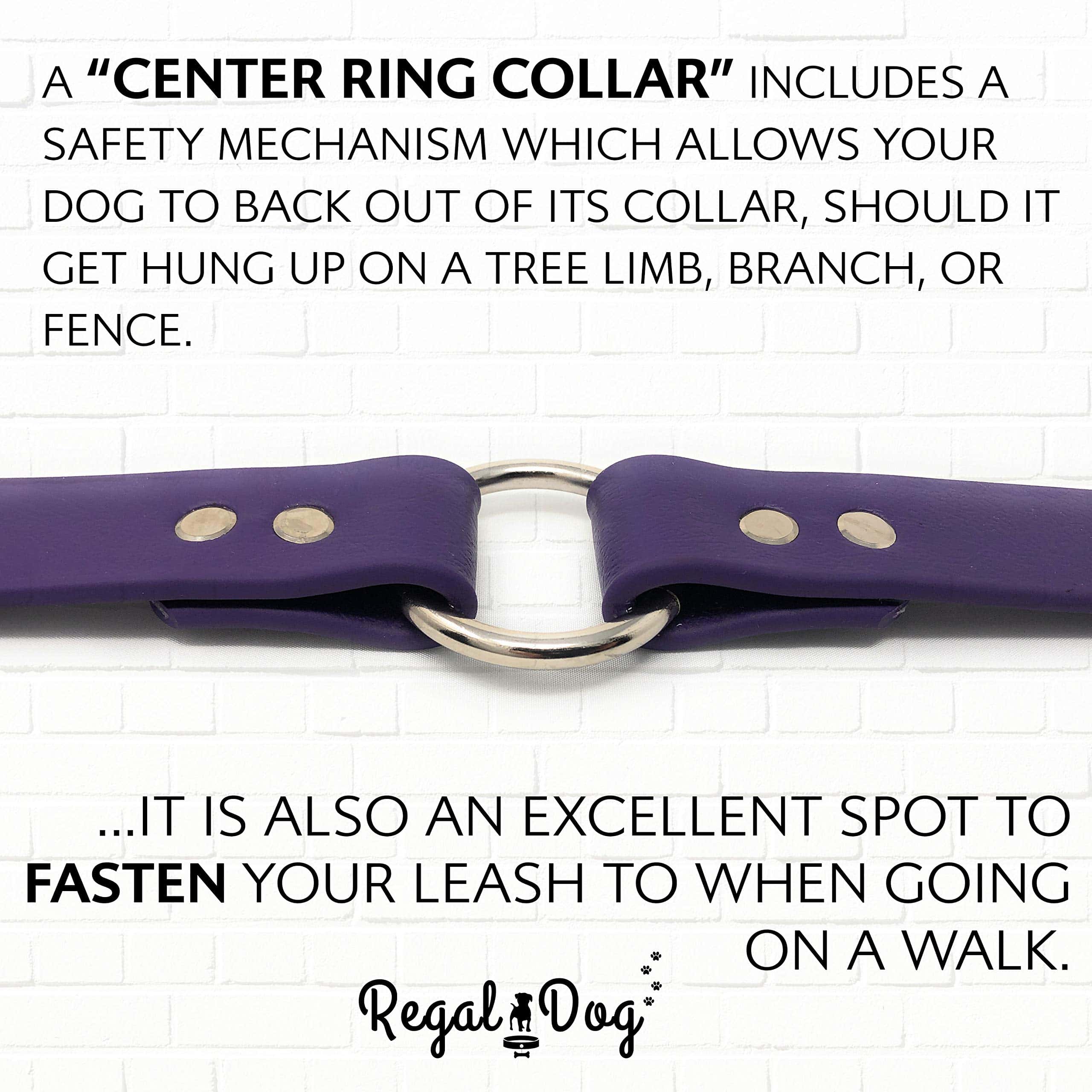 Conjunto de Collar y Correa Morados Impermeables para Perro - Imagen 6