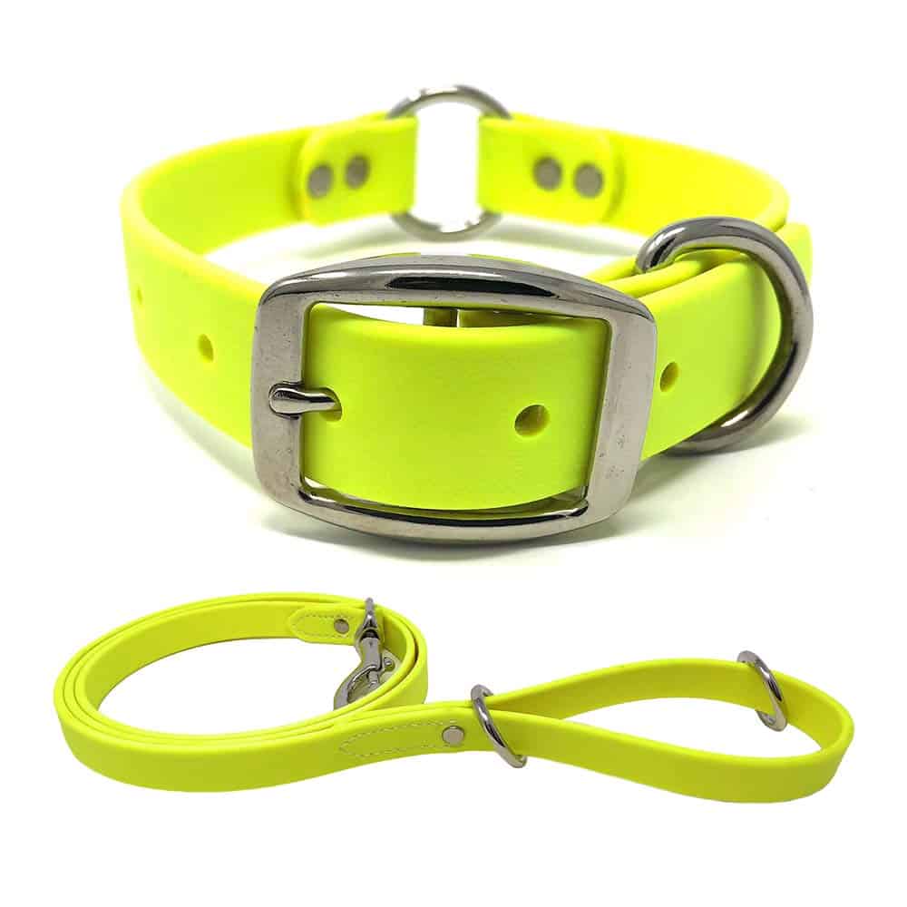 Conjunto de Collar y Correa para Perros Medianos Amarillo a