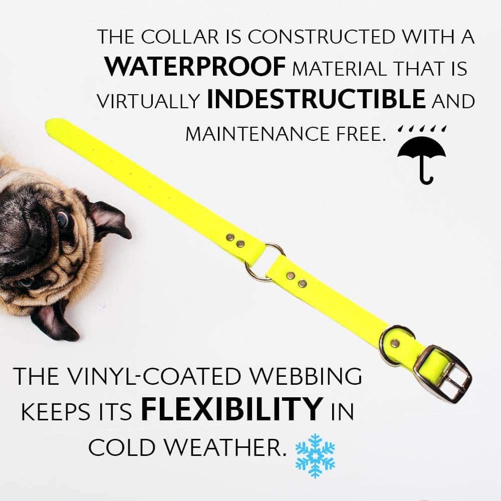 Conjunto de Collar y Correa para Perros Medianos Amarillo a - Imagen 5