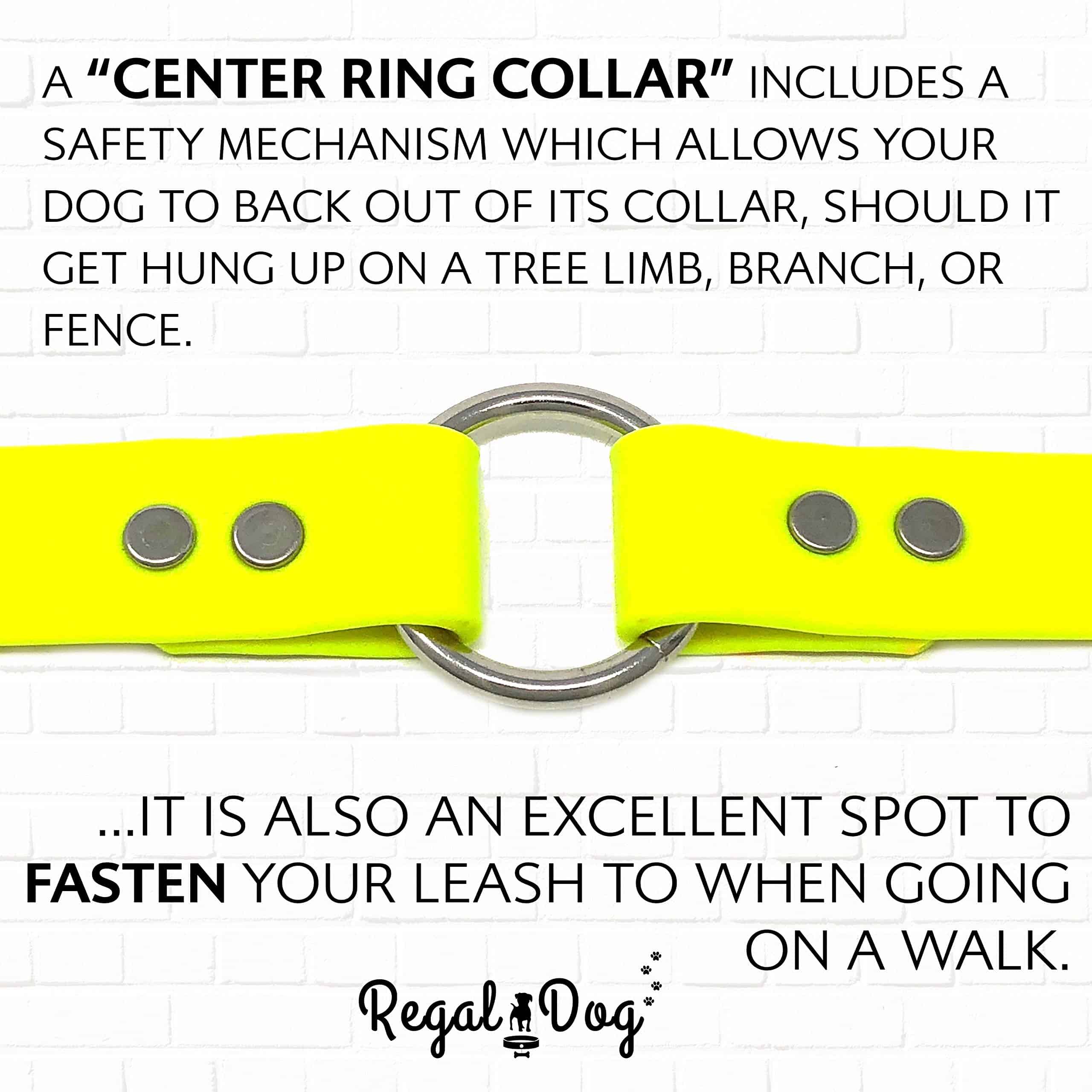 Conjunto de Collar y Correa para Perros Medianos Amarillo a - Imagen 6