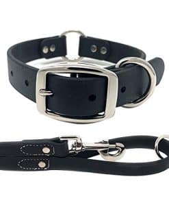 Conjunto de collar y correa impermeable para perros