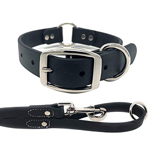 Conjunto de collar y correa impermeable para perros