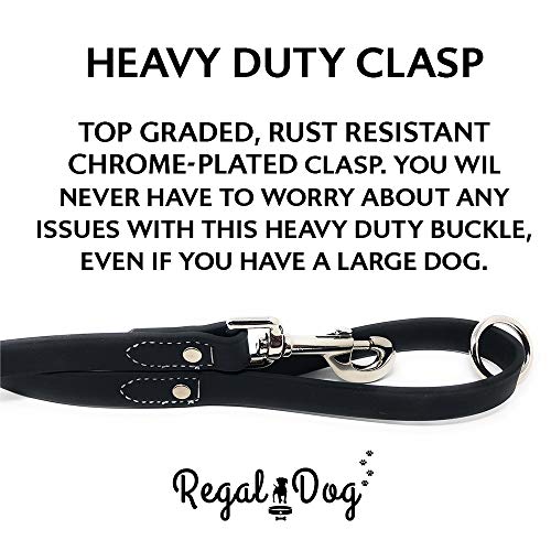 Conjunto de collar y correa impermeable para perros - Imagen 7