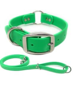 Conjunto de Collar y Correa para Perro Pequeño en Verde