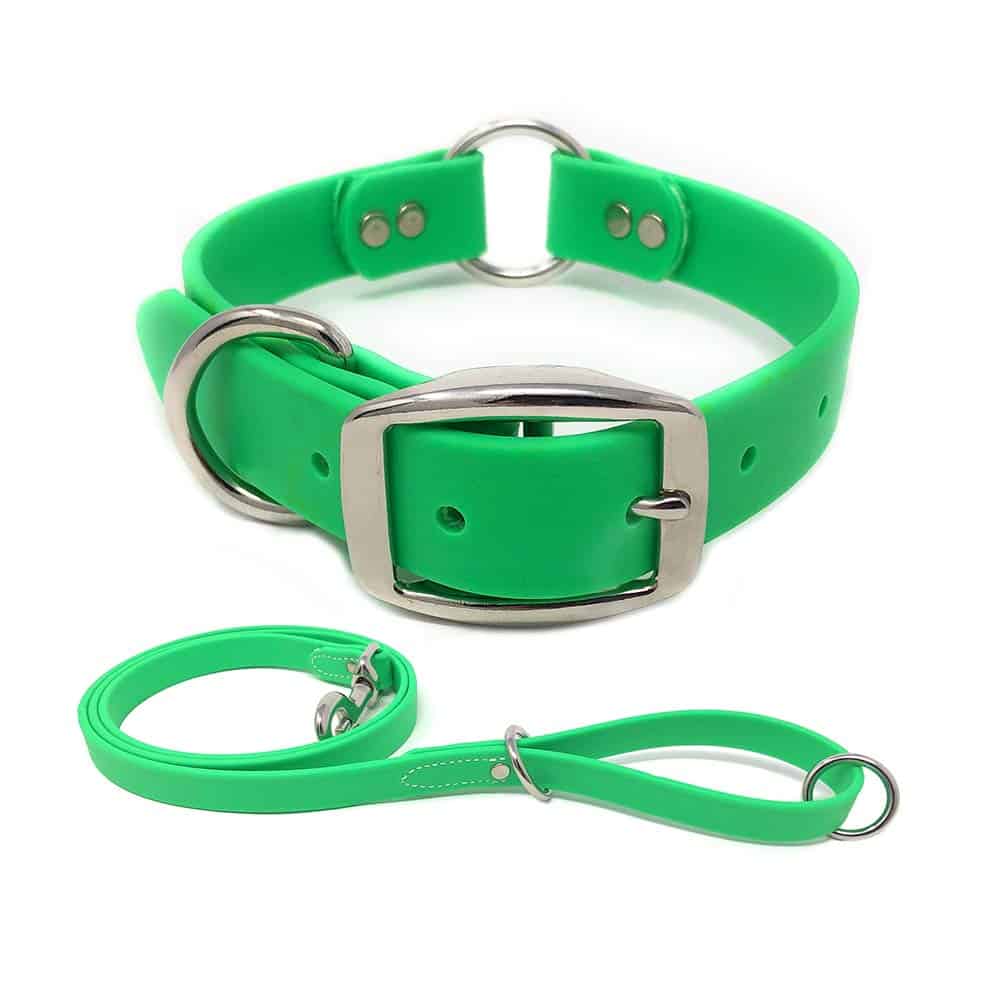 Conjunto de Collar y Correa para Perro Pequeño en Verde