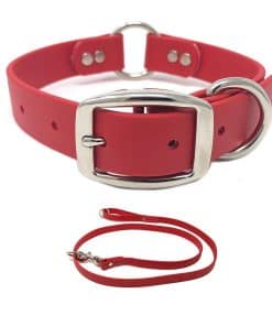Conjunto de Collar y Correa Para Perro Pequeño Rojo