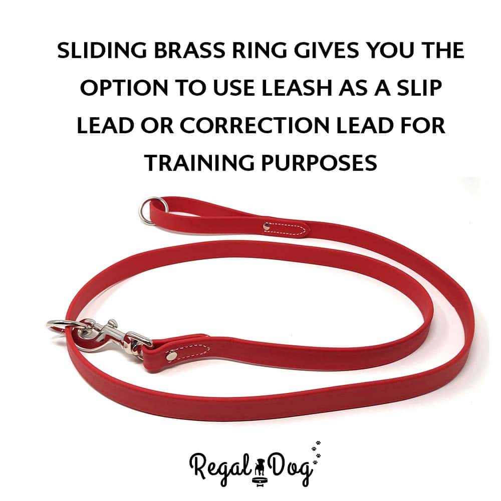 Conjunto de Collar y Correa Impermeables Rojos Medianos - Imagen 8