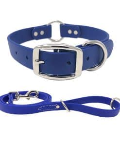 Set de Collar y Correa Azul Impermeable para Perros Grandes