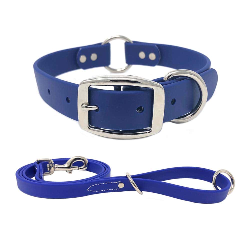 Set de Collar y Correa Azul Impermeable para Perros Grandes