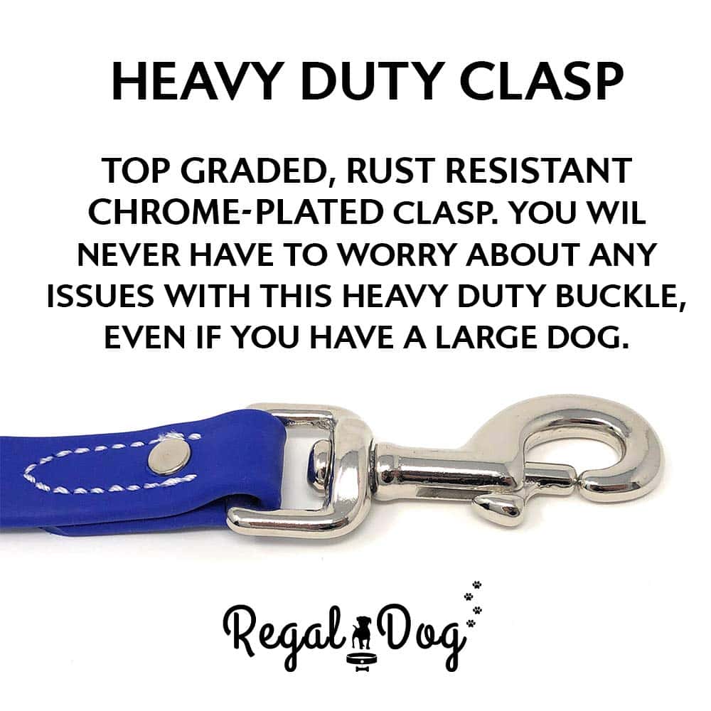 Set de Collar y Correa Azul Impermeable para Perros Grandes - Imagen 7