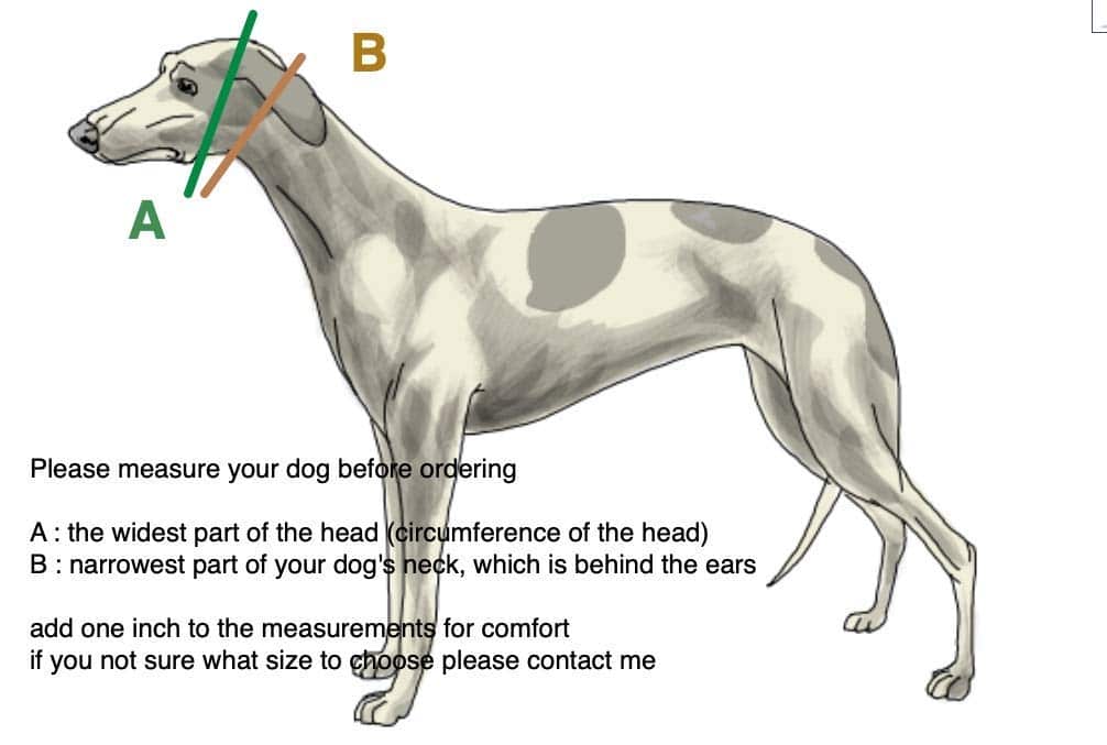 Collar Martingale para Galgos, Salukis y Whippets y otras - Imagen 6