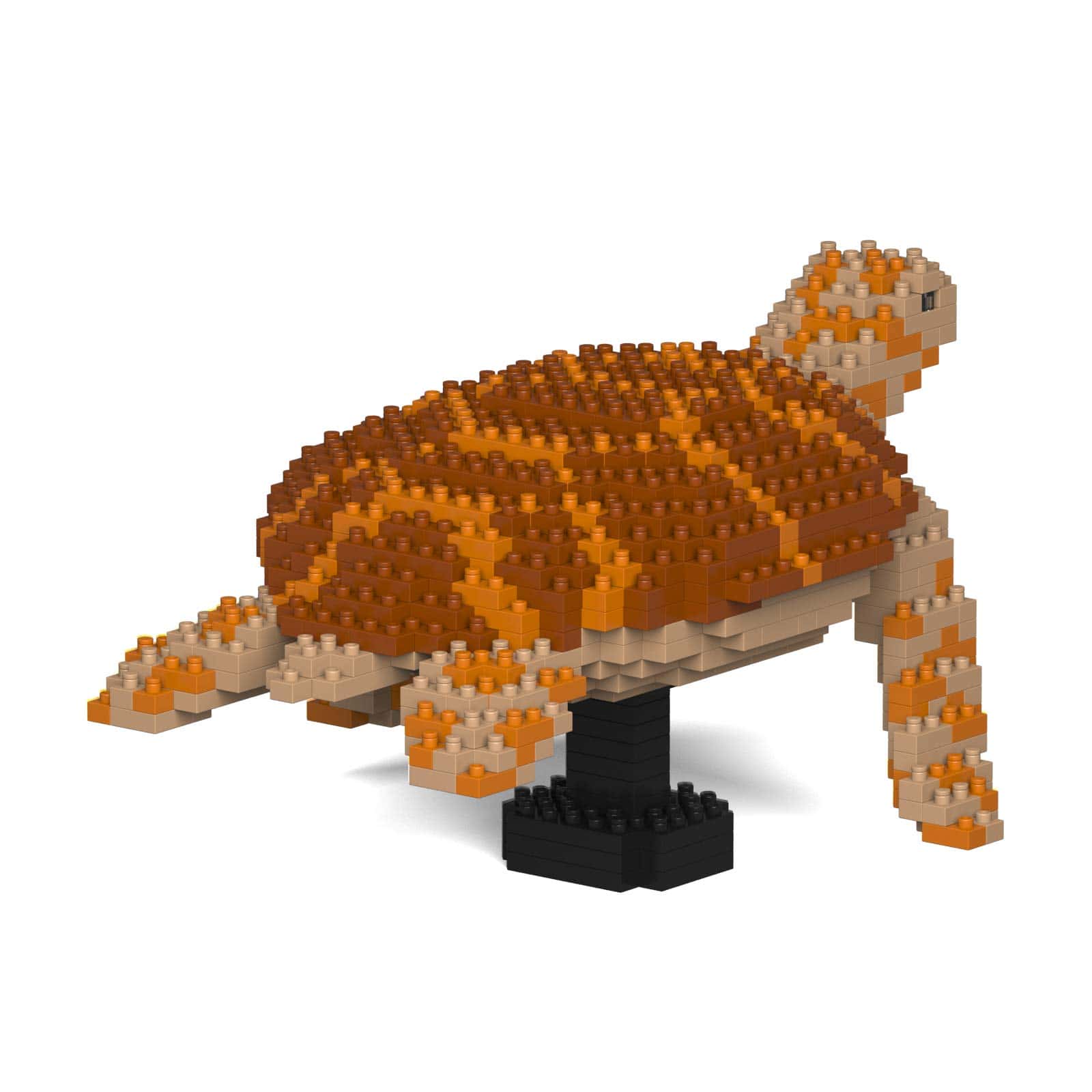 JEKCA Tortuga Marina 01S-M02 - Imagen 7