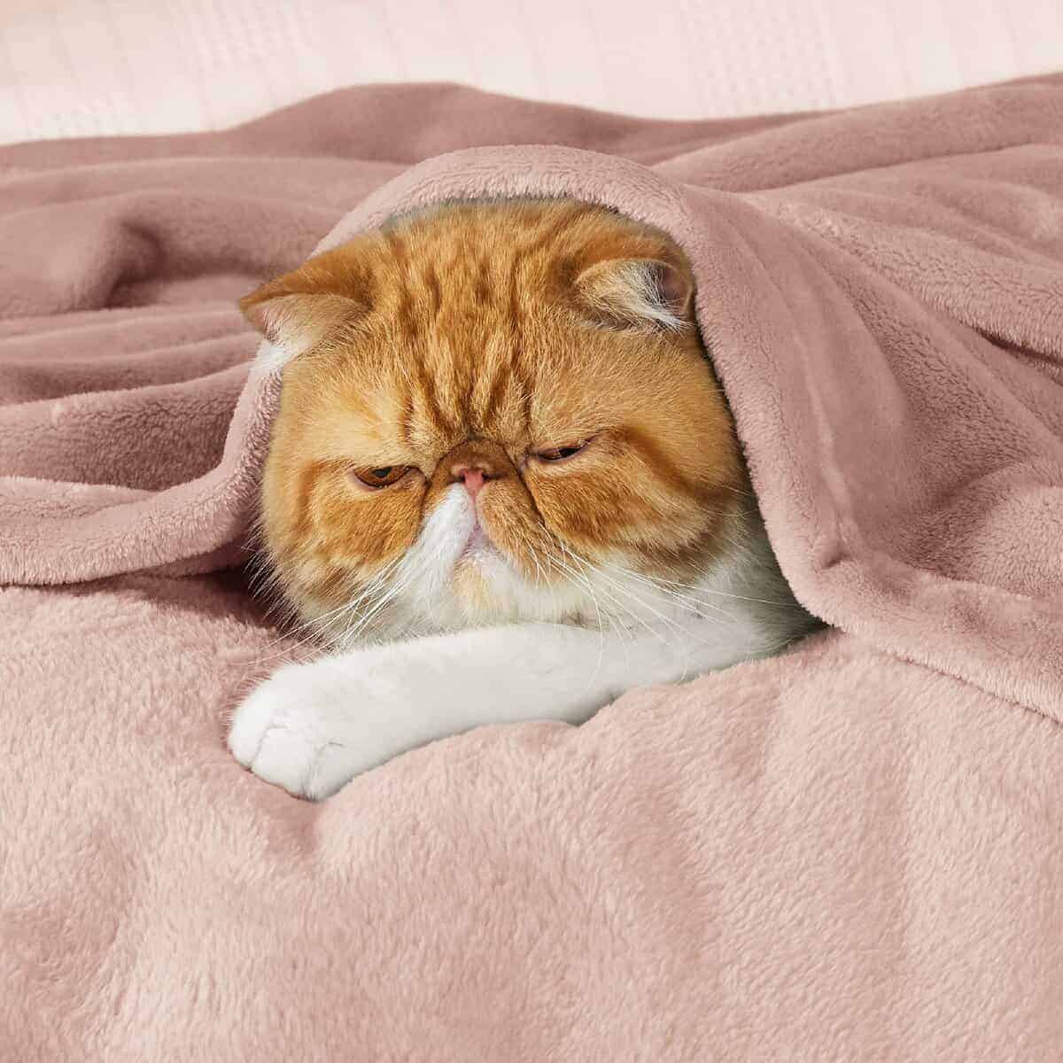 Mantas de Felpa Bedsure Tamaño King Rosa Viejo - Manta de - Imagen 3