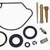 Kit de Reparación de Reconstrucción del Carburador