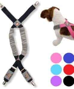 Correas para perros divertidas para ropa de mascotas,