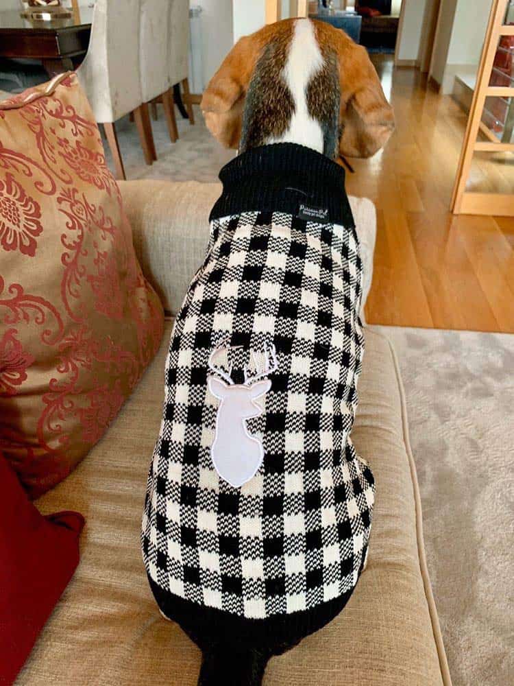 Sweater de Cuello Alto para Perros - Cuadros Negros y - Imagen 4