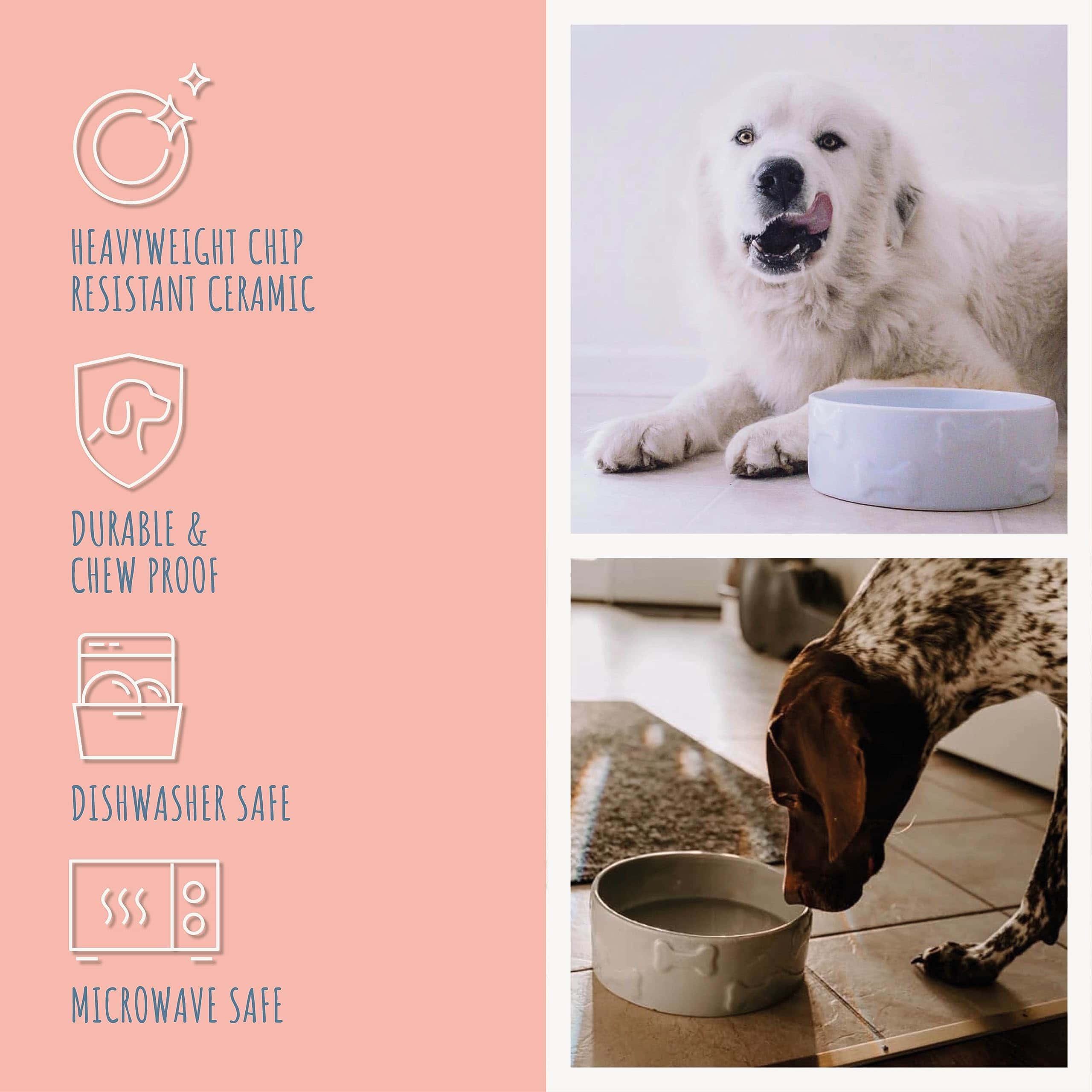 Park Life Designs Tazón para Mascotas | Manor (Pequeño, - Imagen 4