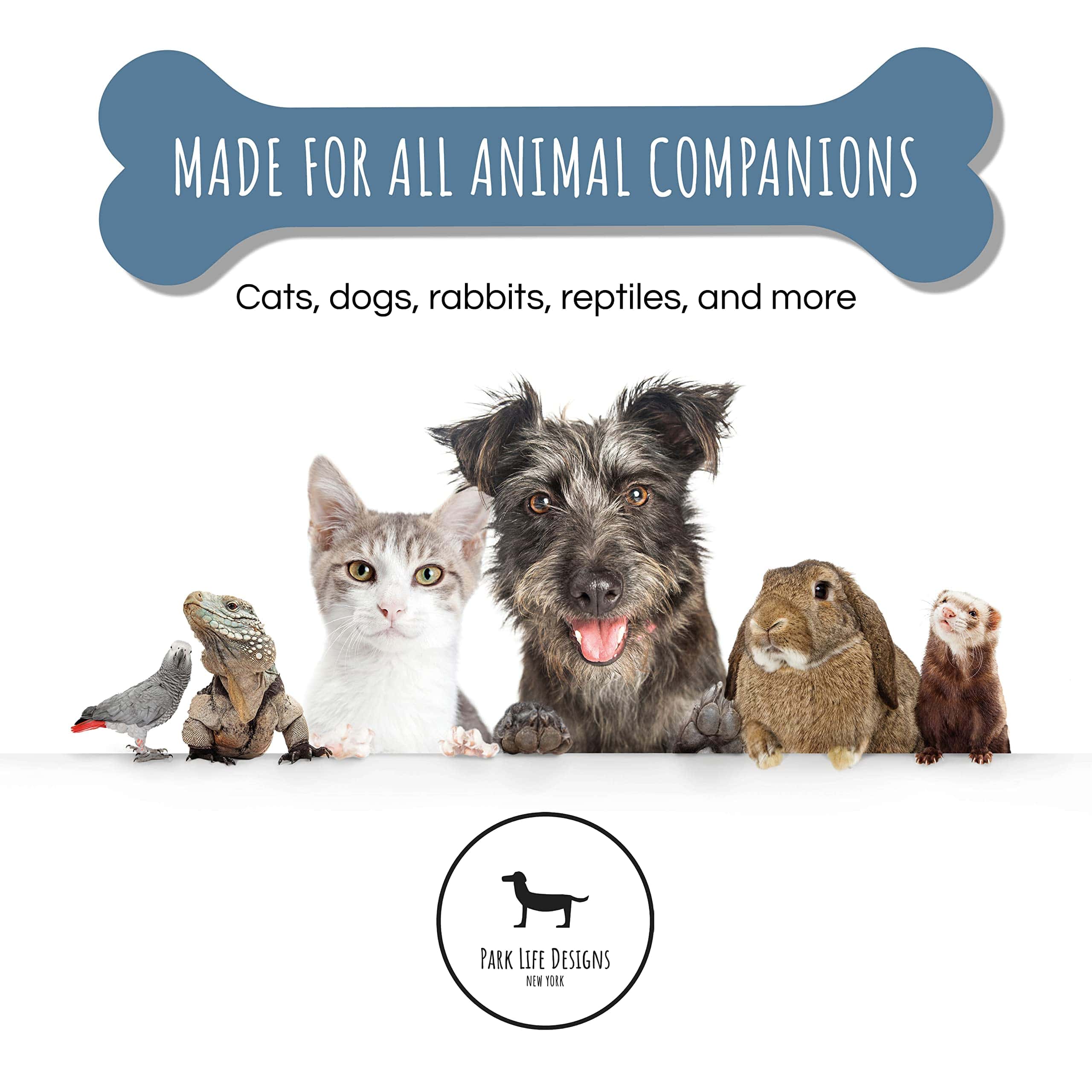 Park Life Designs Tazón para Mascotas | Manor (Pequeño, - Imagen 8