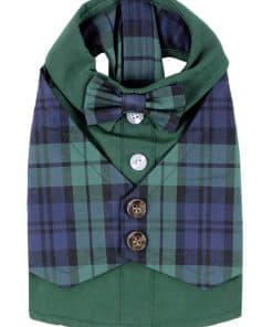 Esmoquin de perro escocés verde/azul de diseñador Parisian