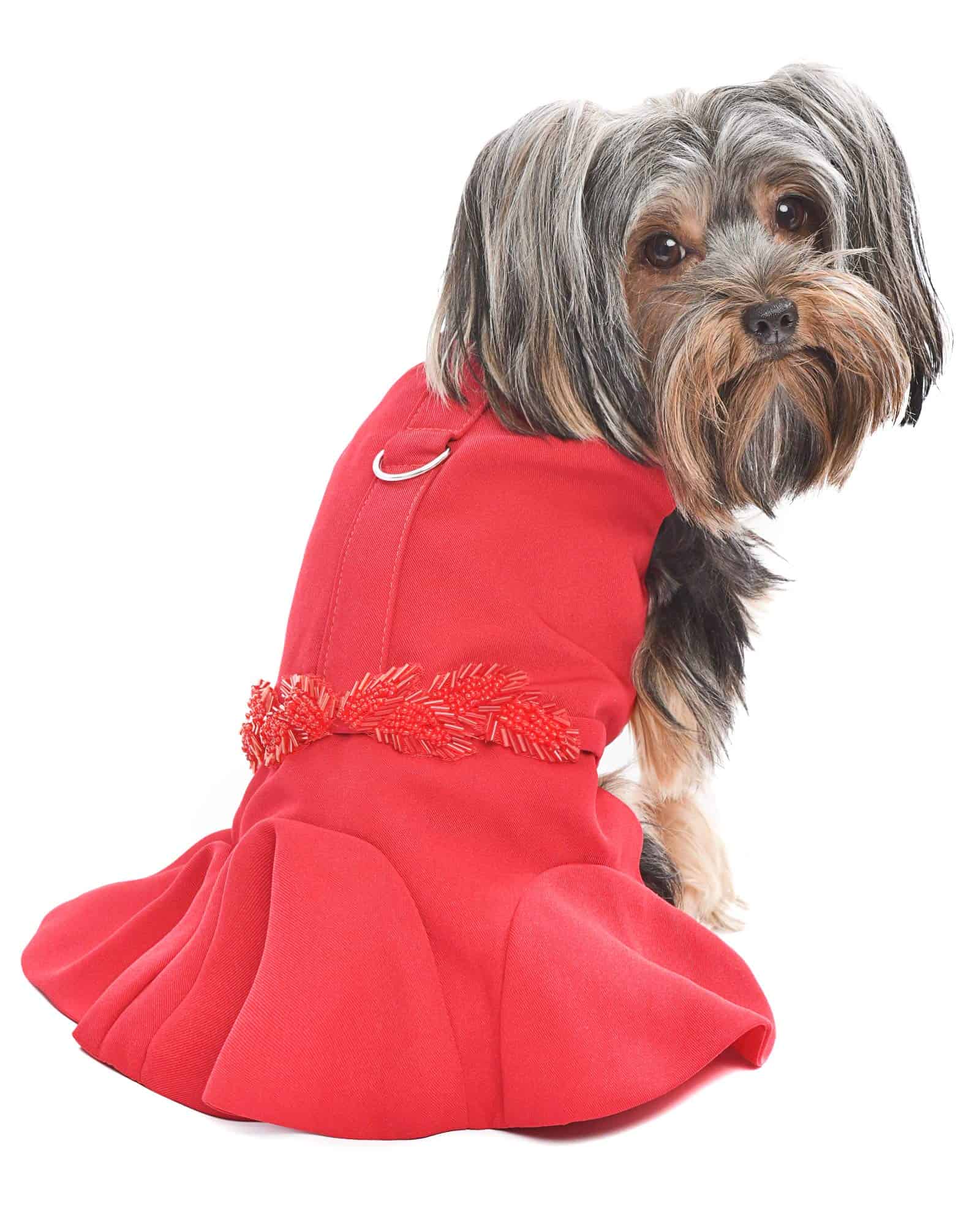 Vestido Rojo Parisian Pet Designer Embellecido para Perros - Imagen 4