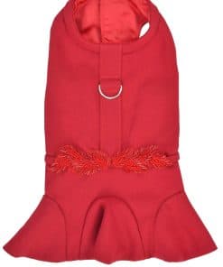 Vestido de Perrito Rojo Adornado de Diseñador de París para