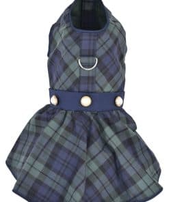 Vestido de Perro Escocés de Diseño Parisino Verde/Azul