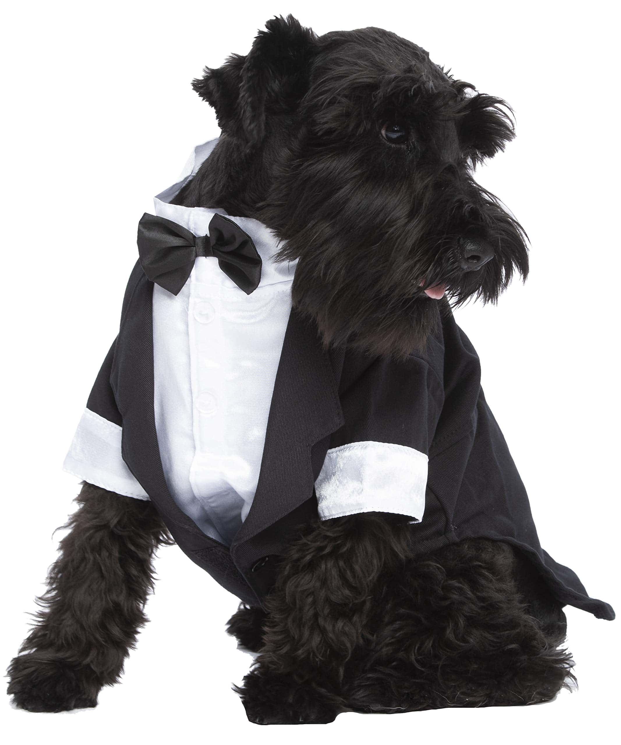 Traje de Fiesta para Perros Parisian Pet Tux para Bodas y - Imagen 4