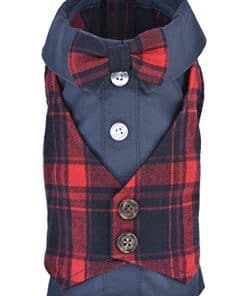 Tuxedo para Perro Escocés de Diseño Parisino Rojo/Azul para