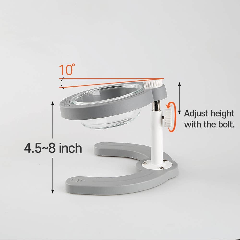 Tazones de Comida Ajustables para Mascotas Little Factory - Imagen 4