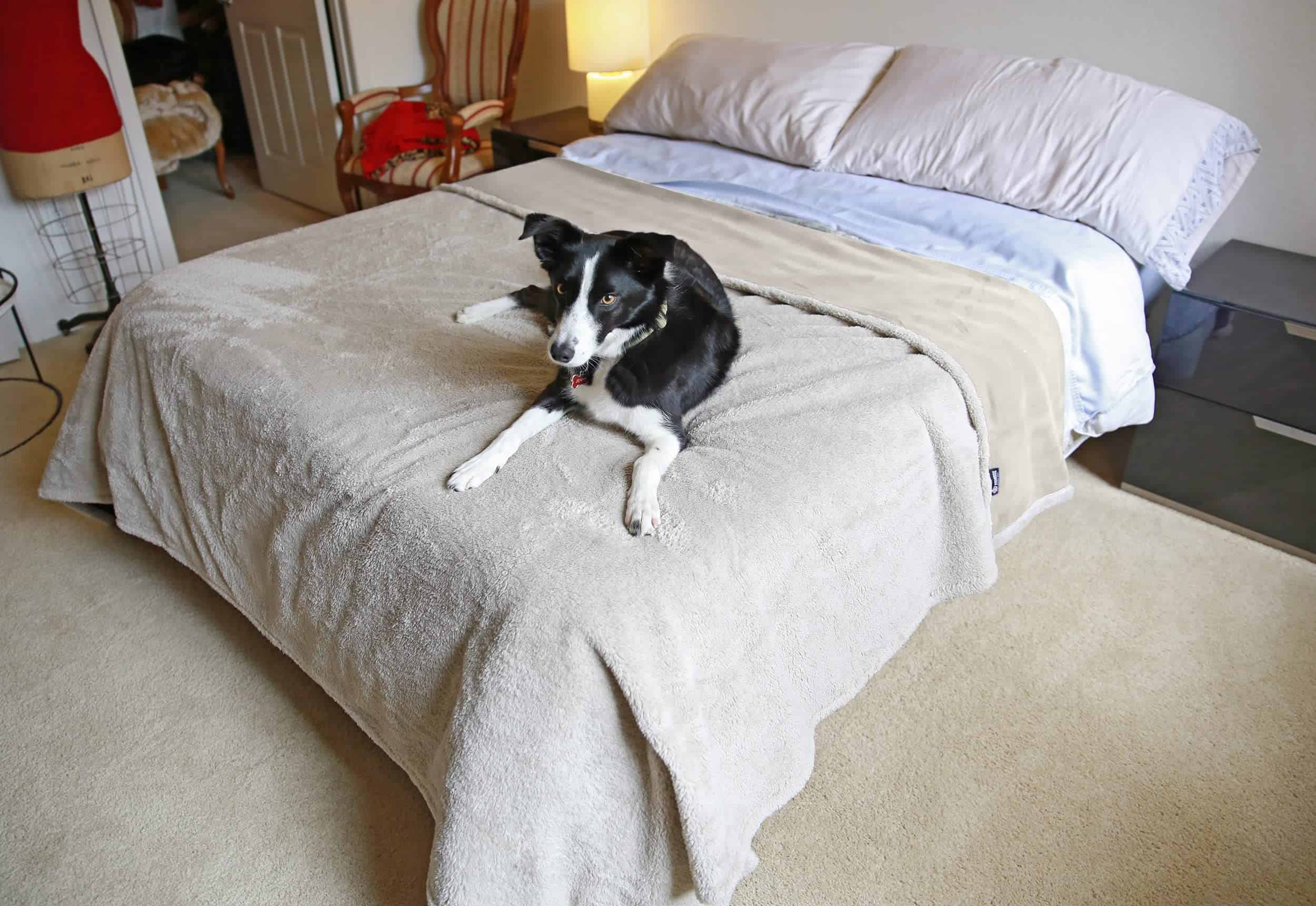 Manta impermeable Catalonia para la intimidad, cubierta de - Imagen 6