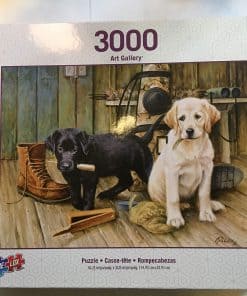 Rompecabezas Breaktime II de 3000 piezas