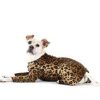 Mono Gold Paw Onesie 18 Estampado de Leopardo