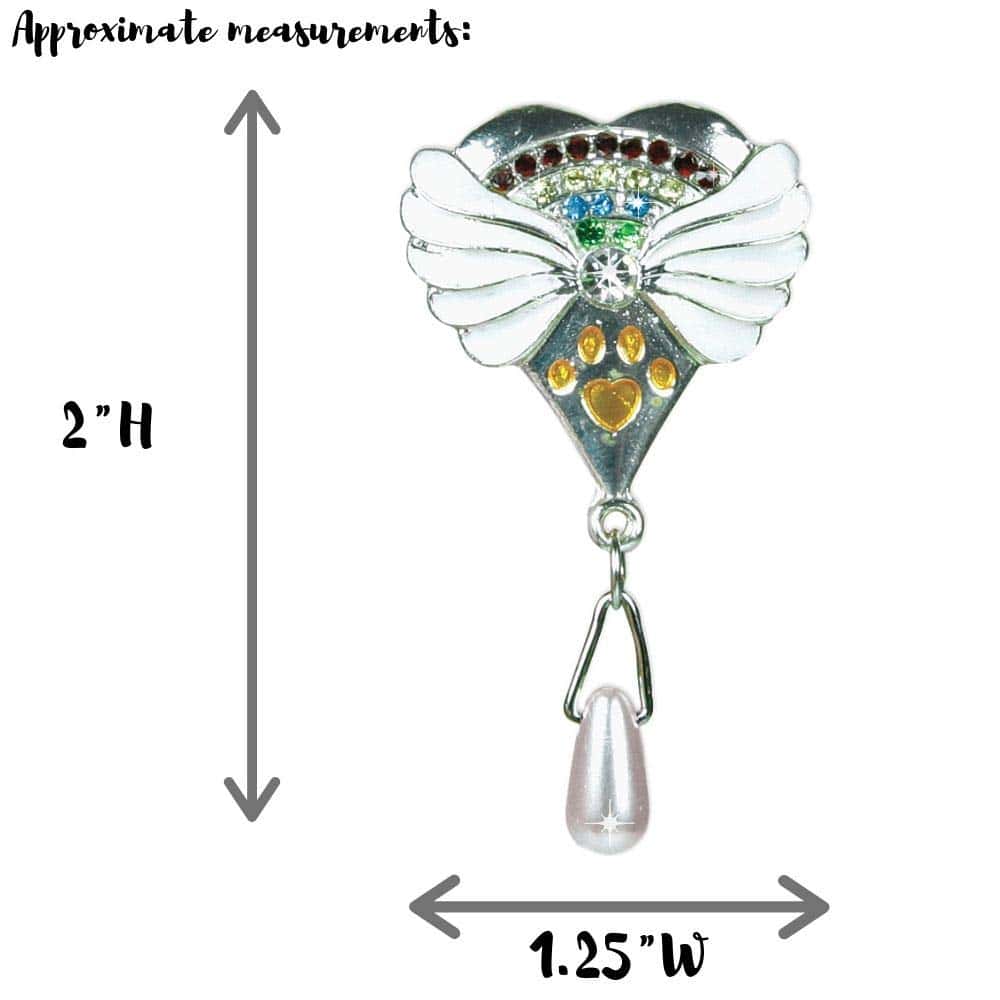 Conjunto de Pin y Adorno Conmemorativo Rainbow Bridge de - Imagen 3