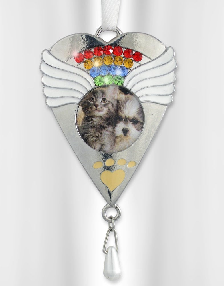 Conjunto de Pin y Adorno Conmemorativo Rainbow Bridge de - Imagen 5