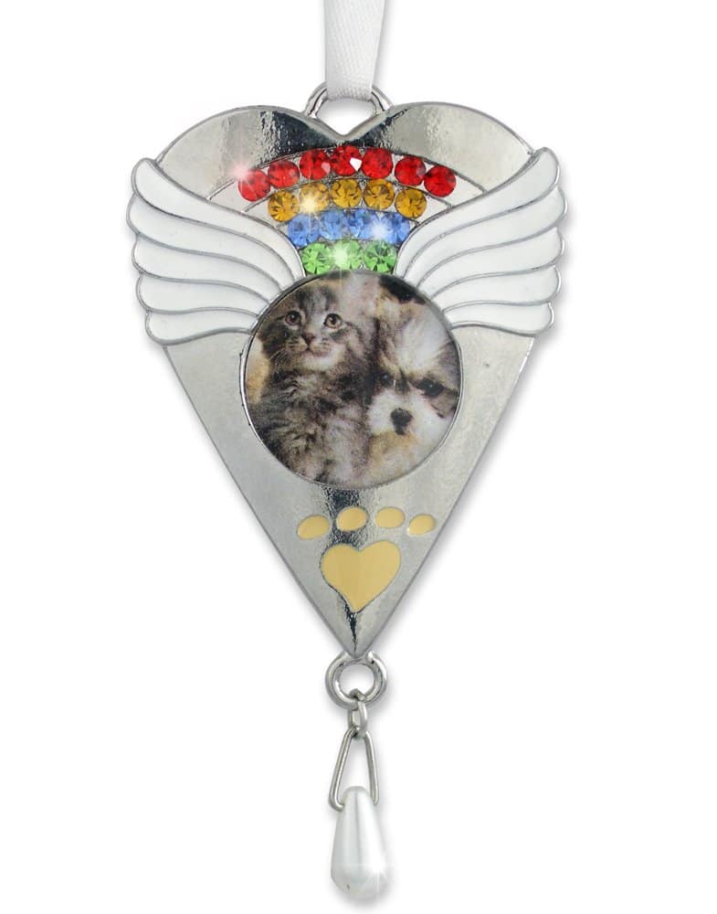 Conjunto de Pin y Adorno Conmemorativo Rainbow Bridge de - Imagen 6