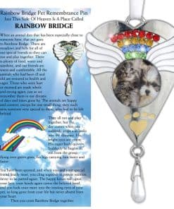 Conjunto de Pin y Adorno Conmemorativo Rainbow Bridge de