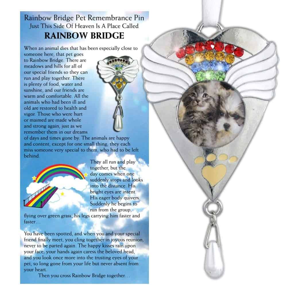 Conjunto de Pin y Adorno Conmemorativo Rainbow Bridge de