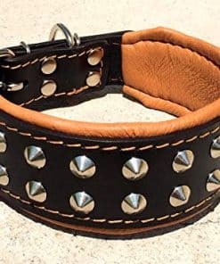 Collar de Perro de Cuero Genuino "Boston" de Bestia.