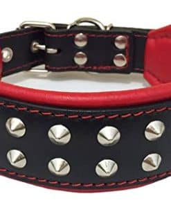 Collar de Perro de Cuero Genuino "Boston" de Bestia. Con