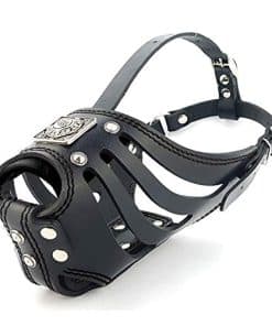Mordaza Bestia ''Eros'' Canasta Todo Negro