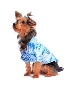 Camisa de perro Hawaiian Matching en patrón Simply Blue