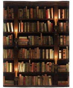 Manta con libros, suave manta de vellón cálido para amantes