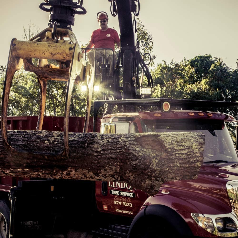 Golight 20074GT Radioray Led Montaje Permanente Dual - Imagen 6