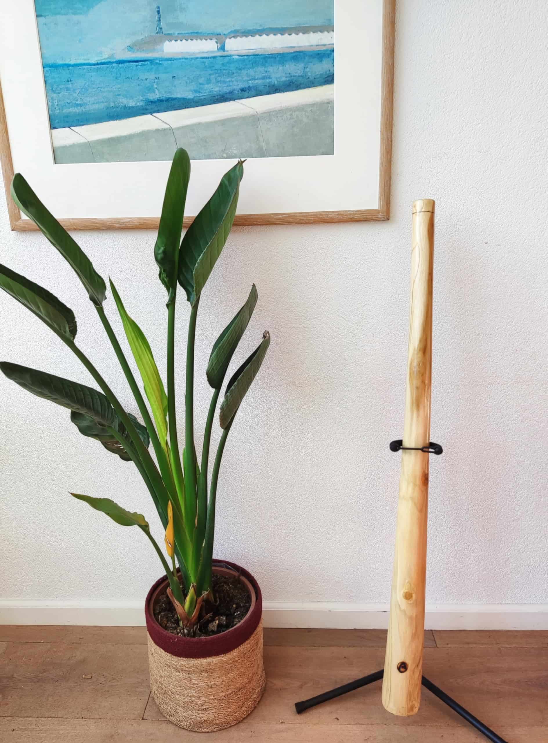 Australian Treasures: Didgeridoo de Madera de Teca con - Imagen 8
