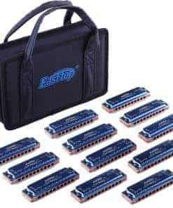 Set de 12 armónicas diatónicas East top Blues, 10 Agujeros