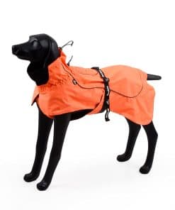 Impermeable para perros BlackDoggy con cinturón ajustable y