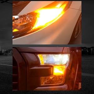 Bombilla LED 7443CK LASFIT 7444CK SOLAMENTE para socket CK, - Imagen 9