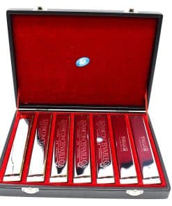 Armonica polifónica de 24 agujeros Swan 7 tonos plata C D E
